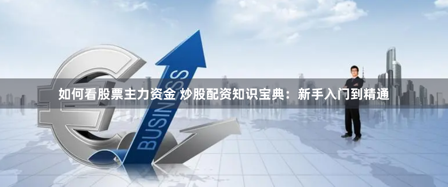 如何看股票主力资金 炒股配资知识宝典：新手入门到精通