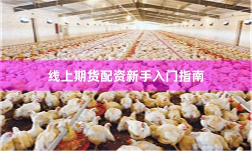 线上期货配资新手入门指南